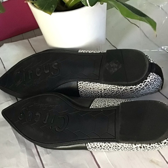 Circus by Sam Edelman Women's Flats Ellissa Pointed Toe Shoes Black/White Sz 8M - Picture 11 of 12
